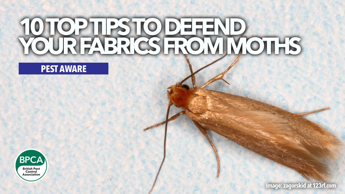pestawaredefendfabricsfrommoths pestawaredefendfabricsfrommoths